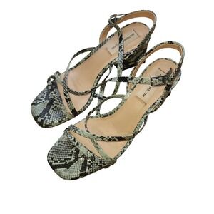 Antonio Melani Snake Print Square Toe Block Heel Strappy Sandals Women's Size 8M